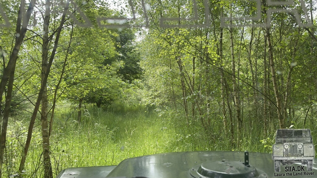 Driving thru the forrest in a clubmembers 1966 Series IIa